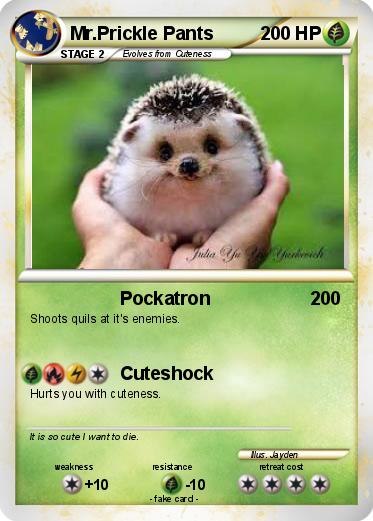 Pokemon Mr.Prickle Pants