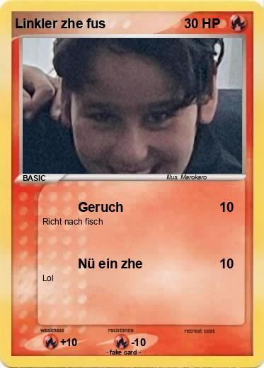 Pokemon Linkler zhe fus