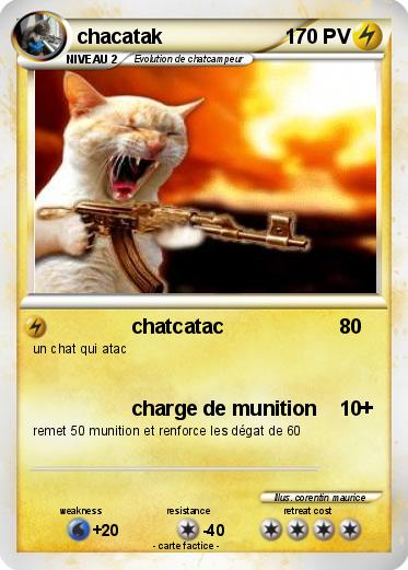 Pokemon chacatak
