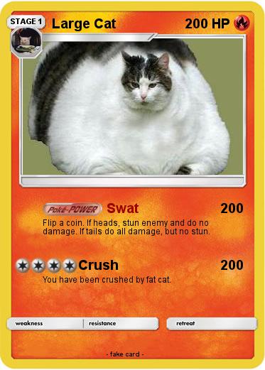 Pokemon Large Cat