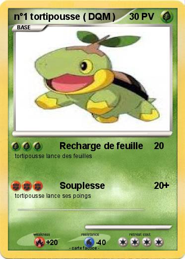 Pokemon n°1 tortipousse ( DQM )