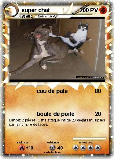 Pokemon super chat