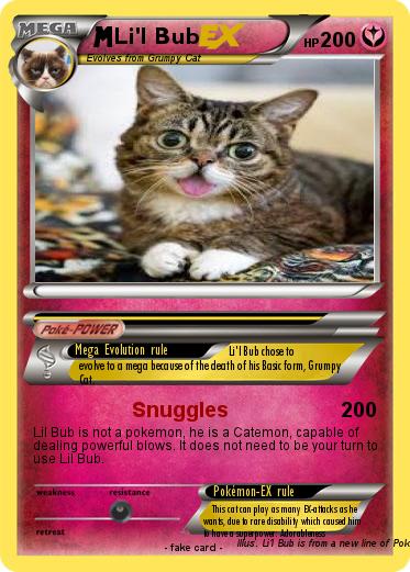 Pokemon Li'l Bub