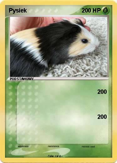 Pokemon Pysiek
