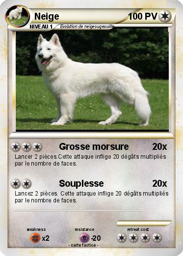 Pokemon Neige