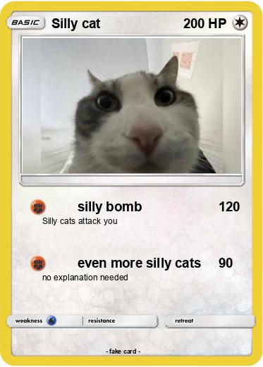 Pokemon Silly cat