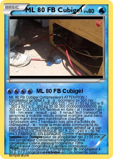 Pokemon ML 80 FB Cubigel