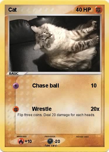 Pokemon Cat