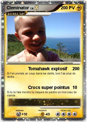 Pokemon Cleminator