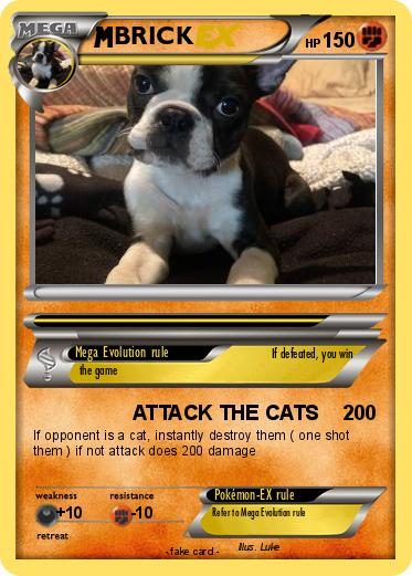 Pokemon BRICK