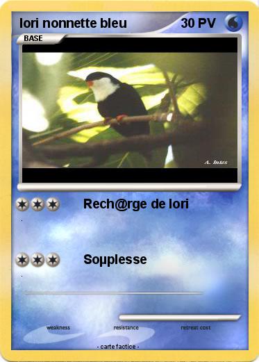 Pokemon lori nonnette bleu