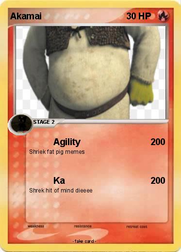 Pokemon Akamai