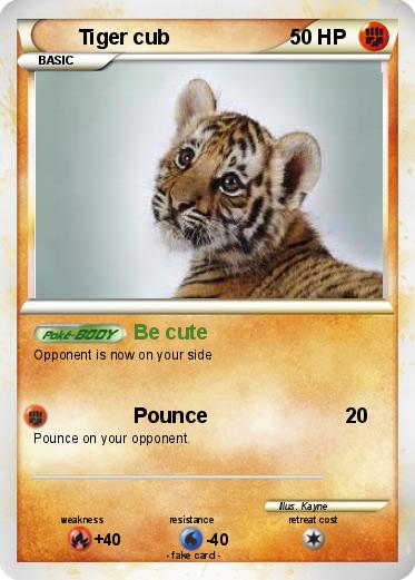 Pokemon Tiger cub