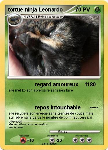 Pokemon tortue ninja Leonardo