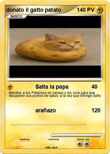 Pokemon donato il gatto patato