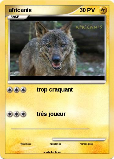 Pokemon africanis