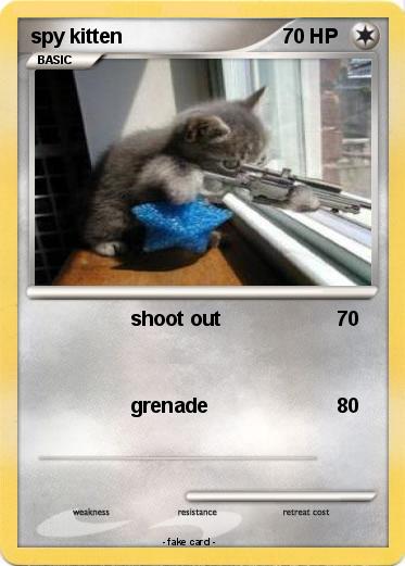 Pokemon spy kitten