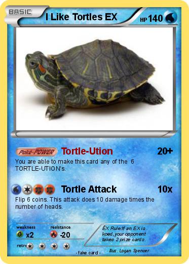 Pokemon I Like Tortles EX