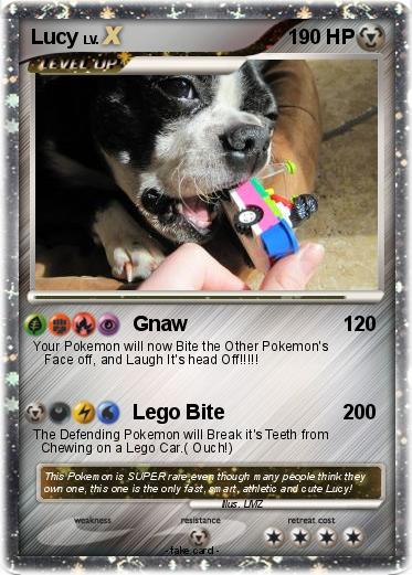 Pokemon Lucy