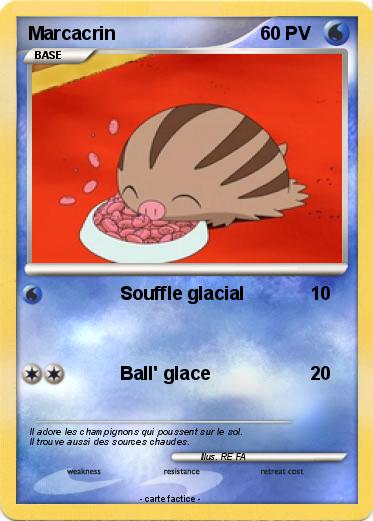 Pokemon Marcacrin