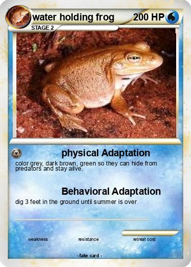 Pokemon water holding frog