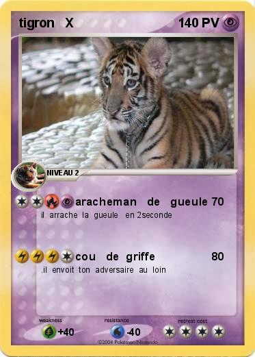 Pokemon tigron   X