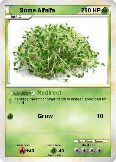 Pokemon Some Alfalfa
