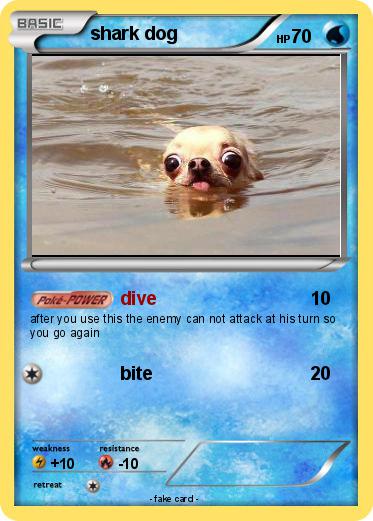 Pokemon shark dog