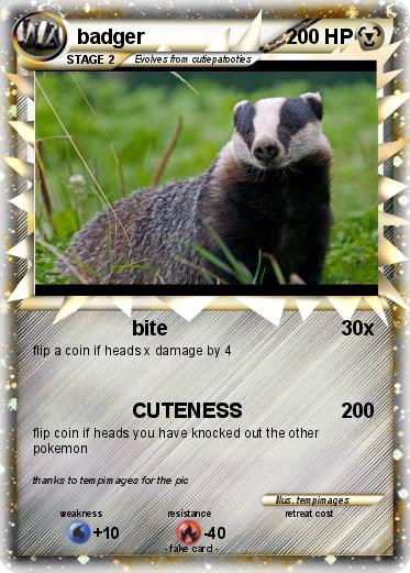 Pokemon badger