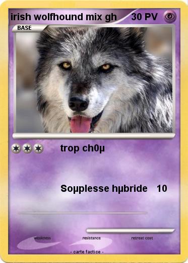 Pokemon irish wolfhound mix gh