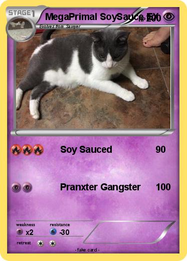 Pokemon MegaPrimal SoySauce EX