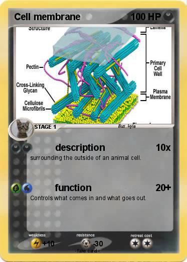 Pokemon Cell membrane