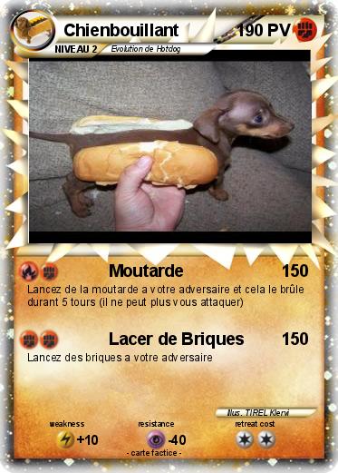 Pokemon Chienbouillant