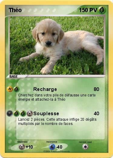 Pokemon Théo
