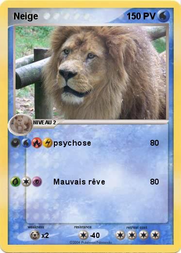 Pokemon Neige