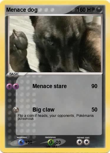 Pokemon Menace dog
