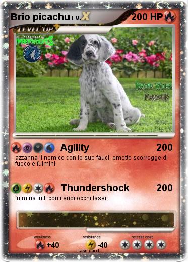 Pokemon Brio picachu