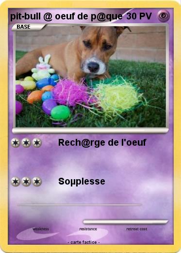 Pokemon pit-bull @ oeuf de p@que