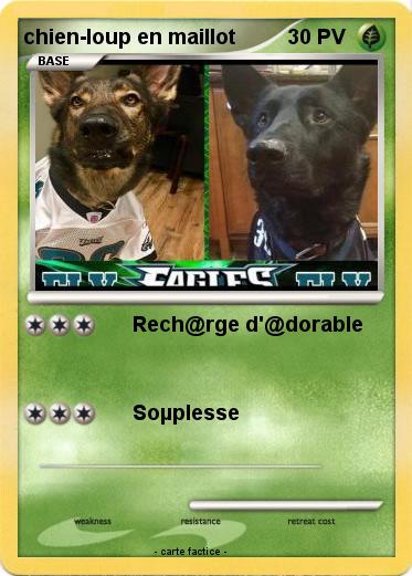 Pokemon chien-loup en maillot