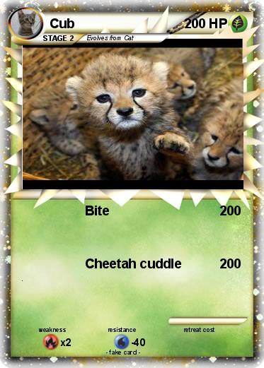 Pokemon Cub