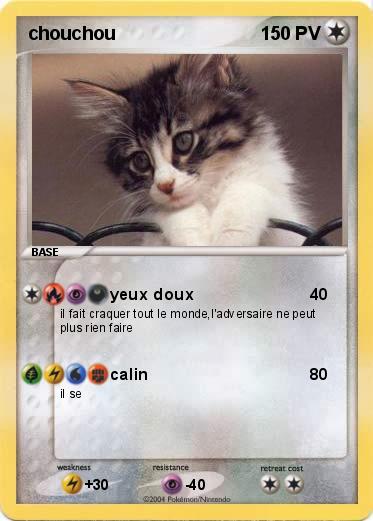 Pokemon chouchou