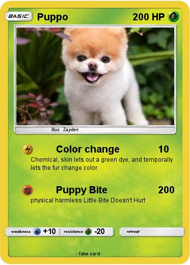 Pokemon Puppo