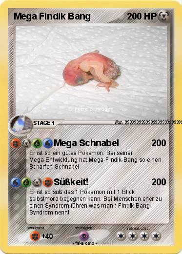 Pokemon Mega Findik Bang