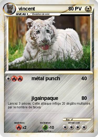 Pokemon vincent