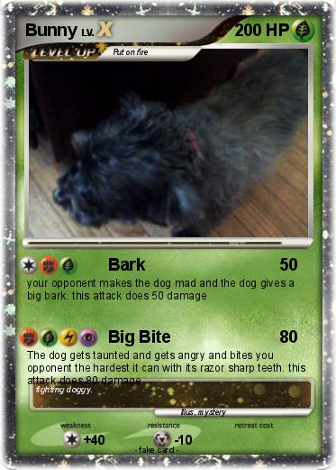 Pokemon Bunny