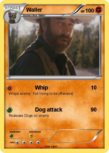 Pokemon Waller