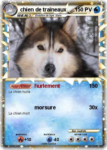 Pokemon chien de traîneaux
