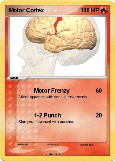 Pokemon Motor Cortex