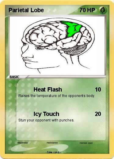 Pokemon Parietal Lobe