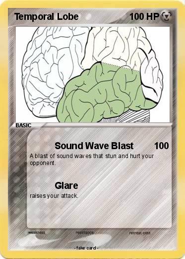 Pokemon Temporal Lobe